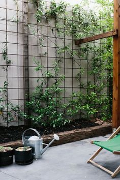 climbing frame for plants