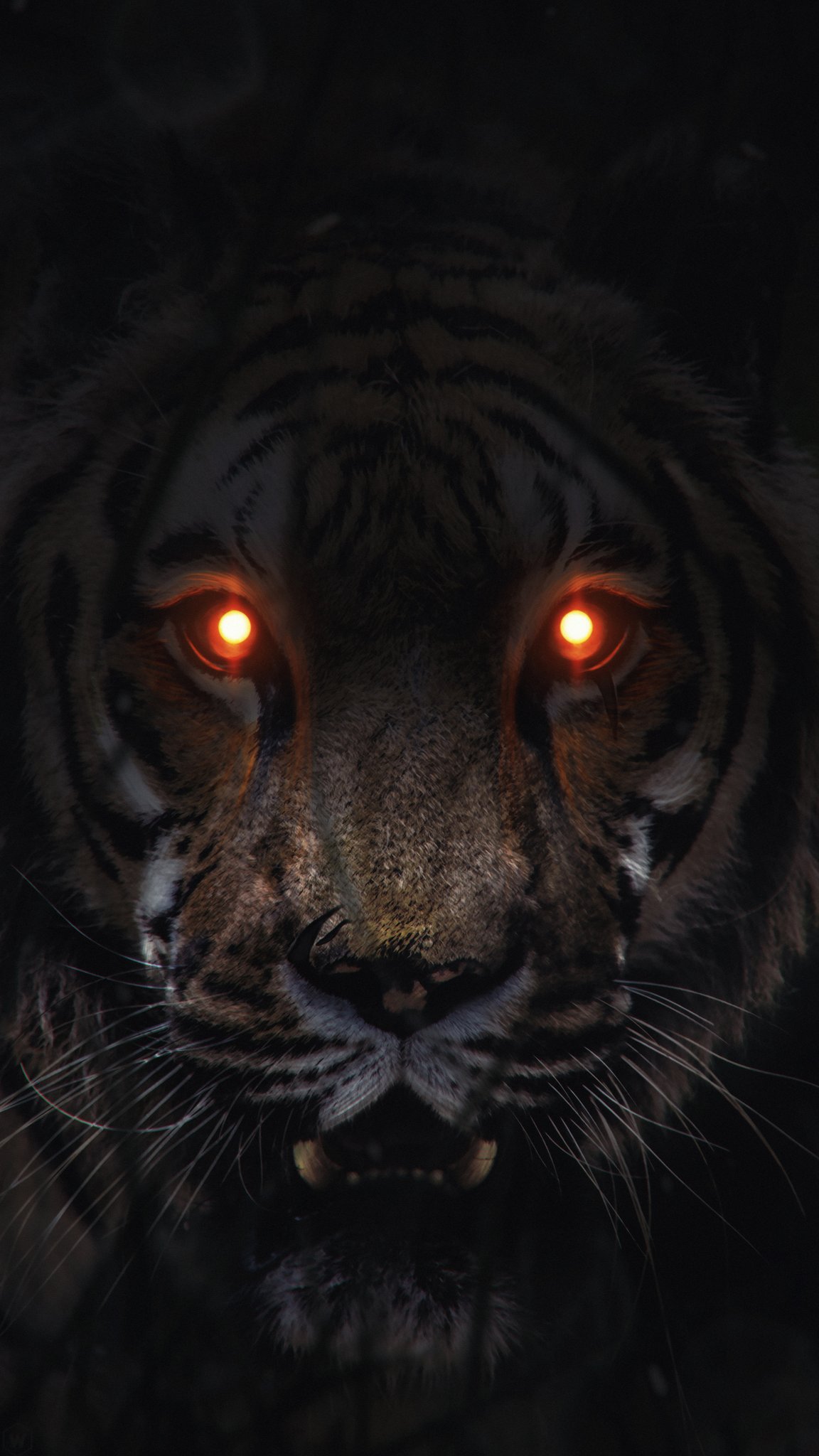 black tiger wallpaper 4k