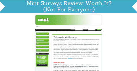 mint surveys review