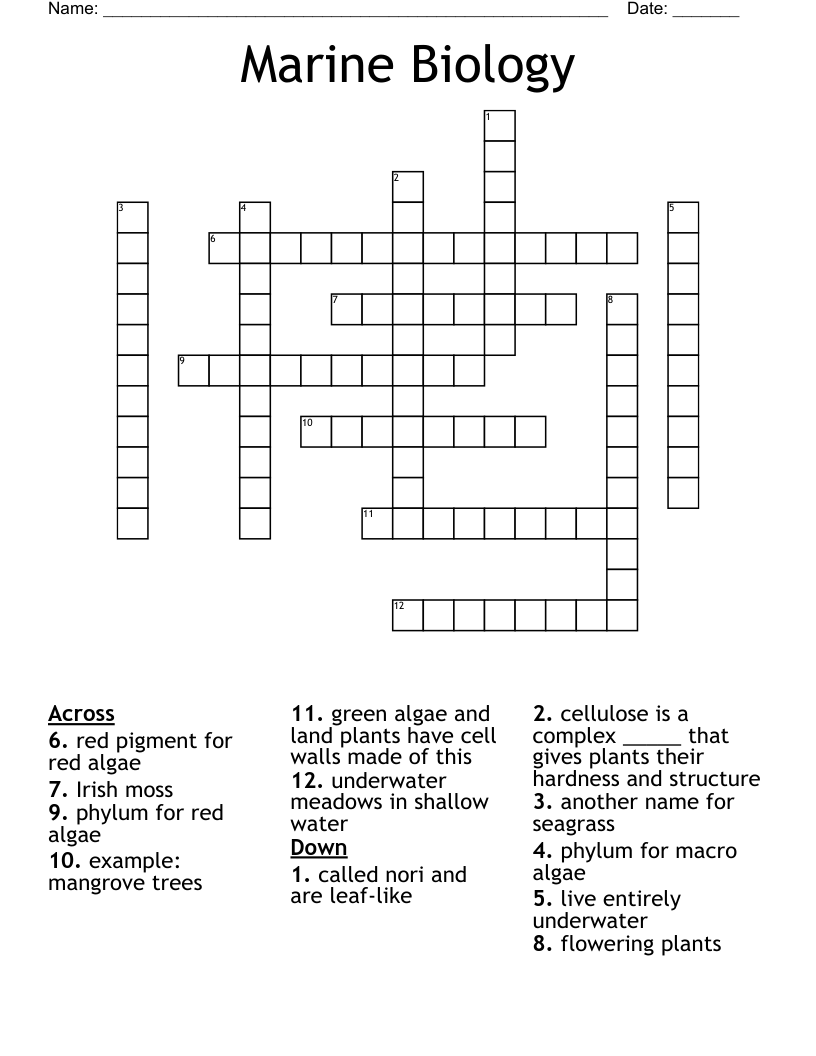 marine crossword clue