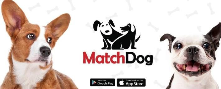 matchdog