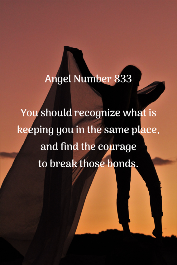 angel numbers 833