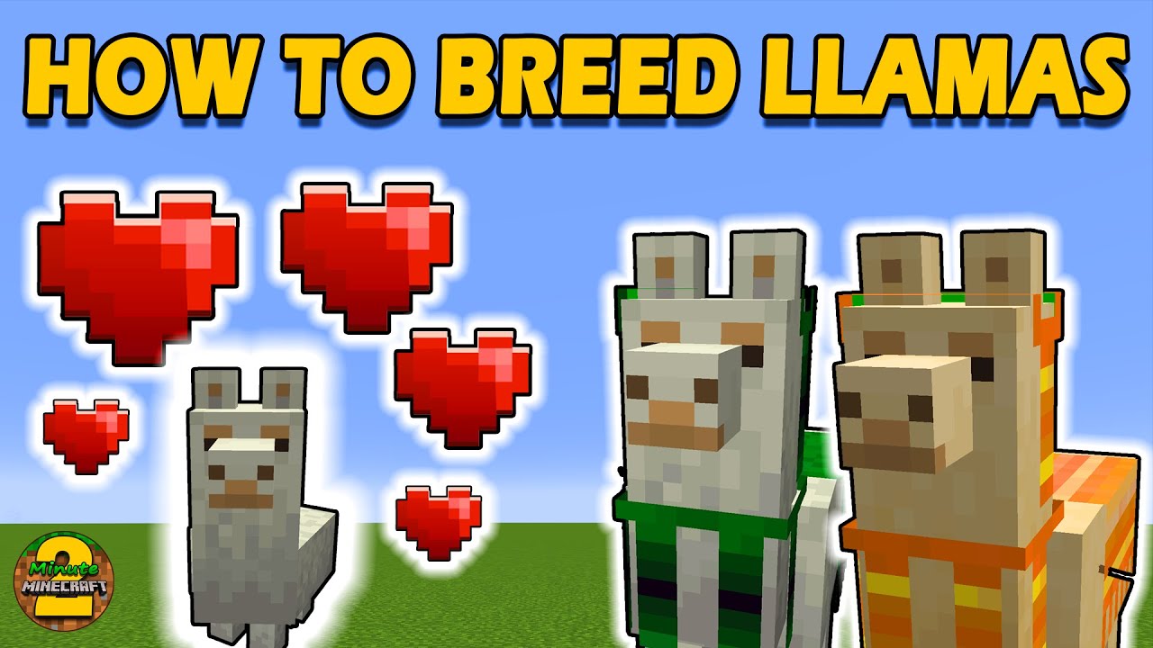 minecraft breeding llamas