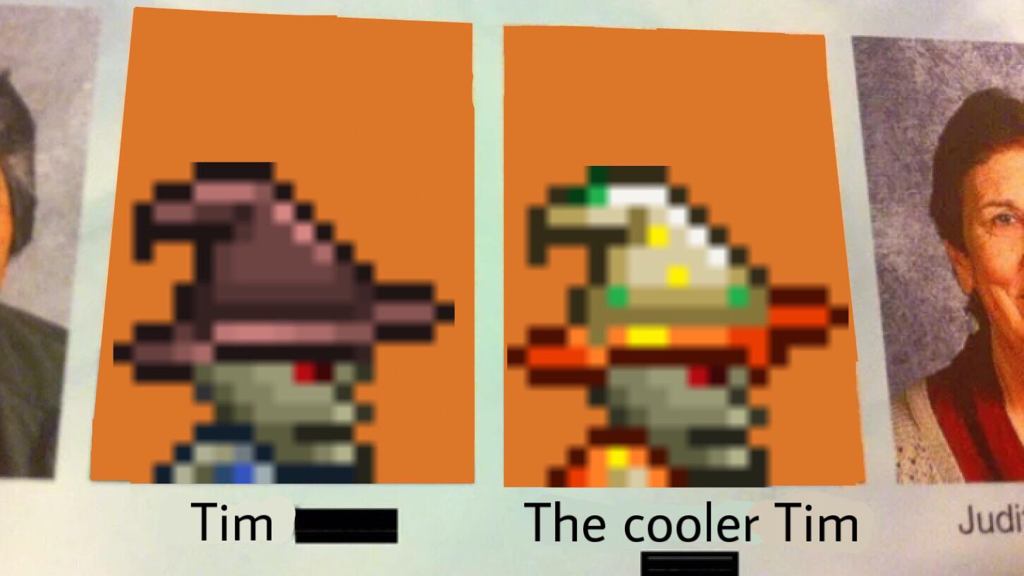 terraria tim