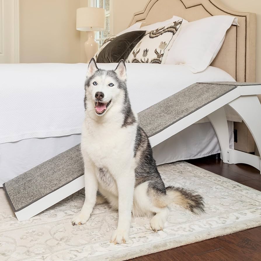 dog ramp for bed