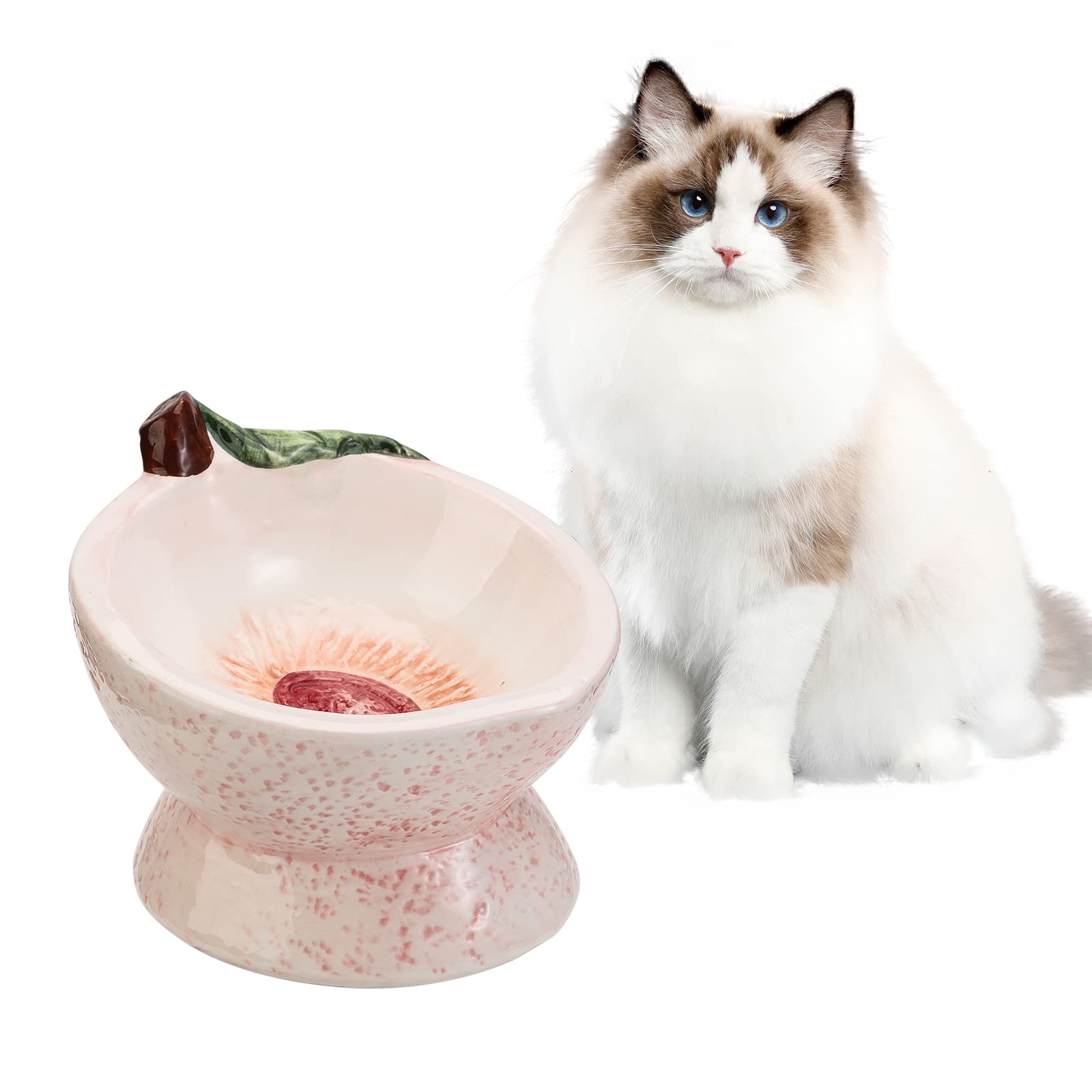 tall cat bowls