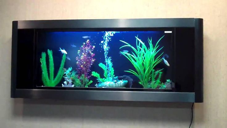 wall hung aquarium