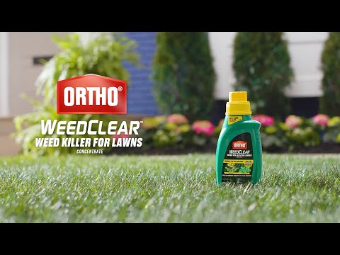 ortho weed clear concentrate mixing instructions