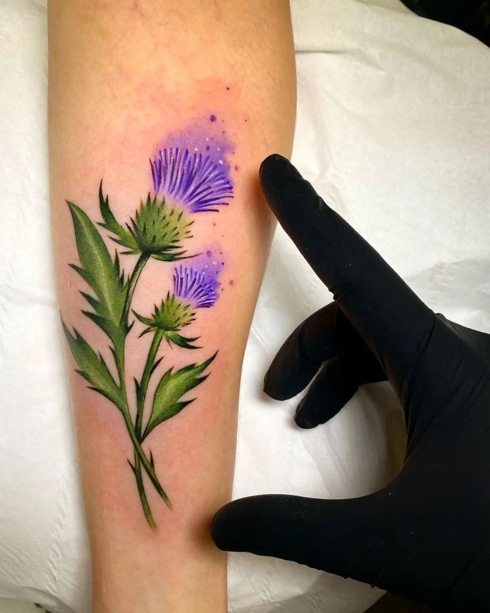 scotland thistle tattoo