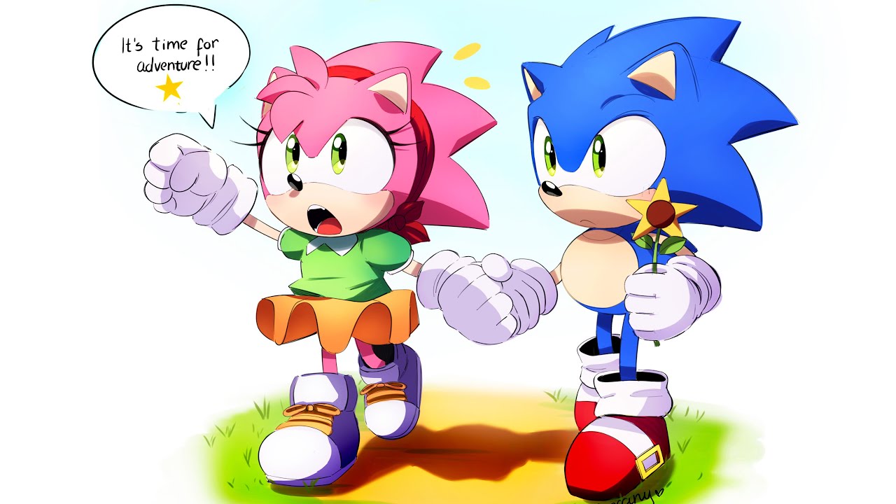 amy the hedgehog sonic x