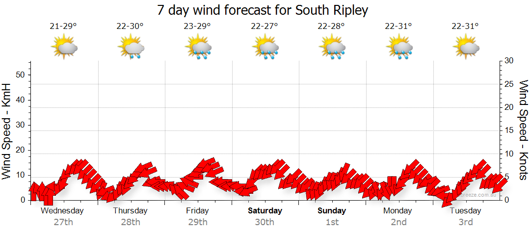 ripley weather