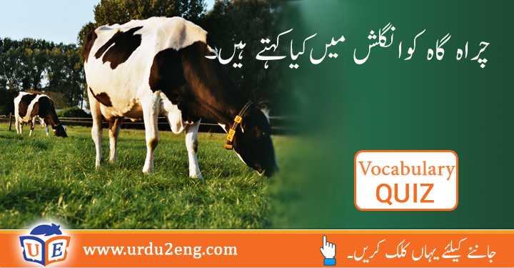 affluent meaning in urdu