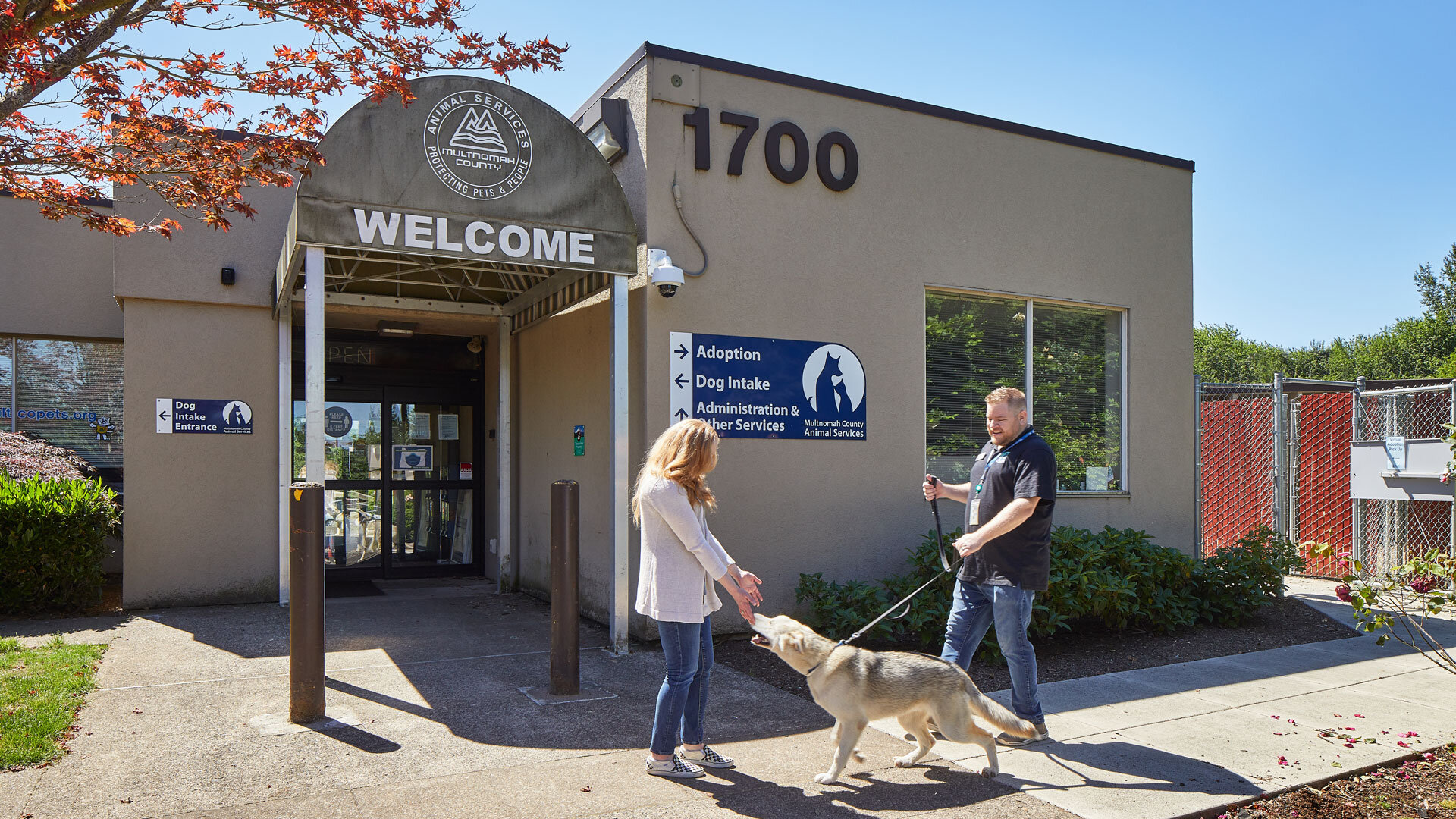 multnomah county animal services troutdale or