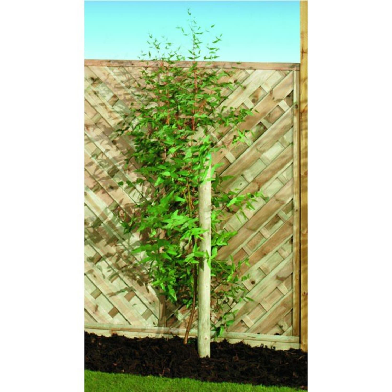 tree stakes wickes