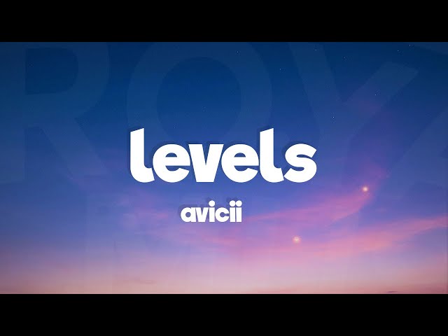 avicii level lyrics