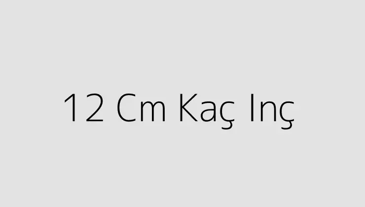 12 cm kaç inç