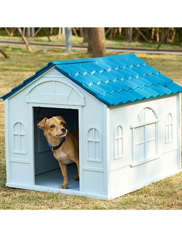 dog kennel