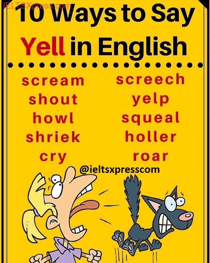 another word for yell