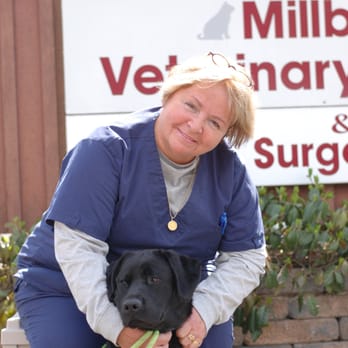 millburn vet nj