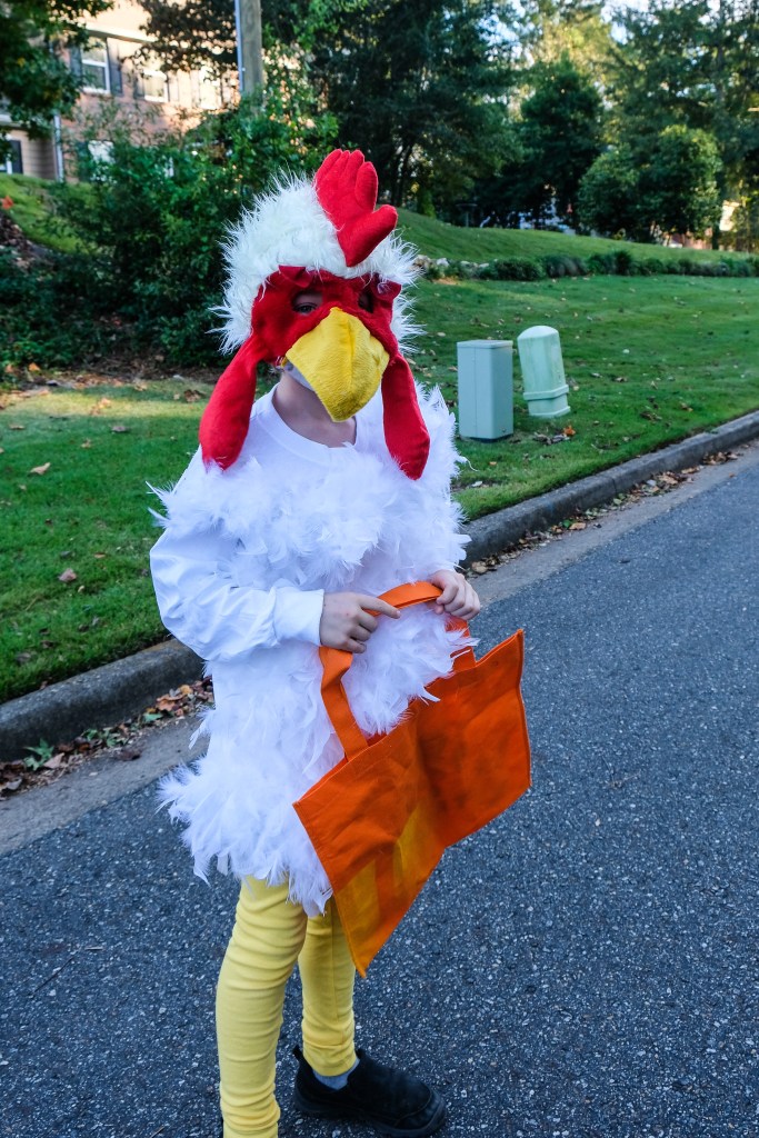diy chicken outfit