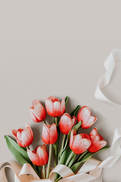 tulip wallpaper for iphone