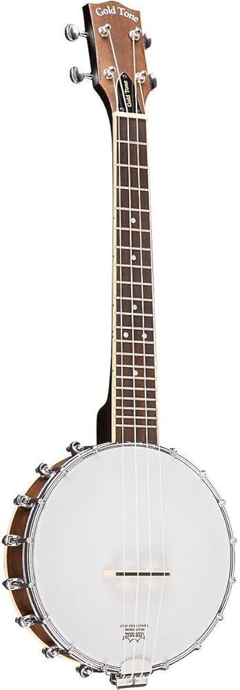 vintage banjo ukulele