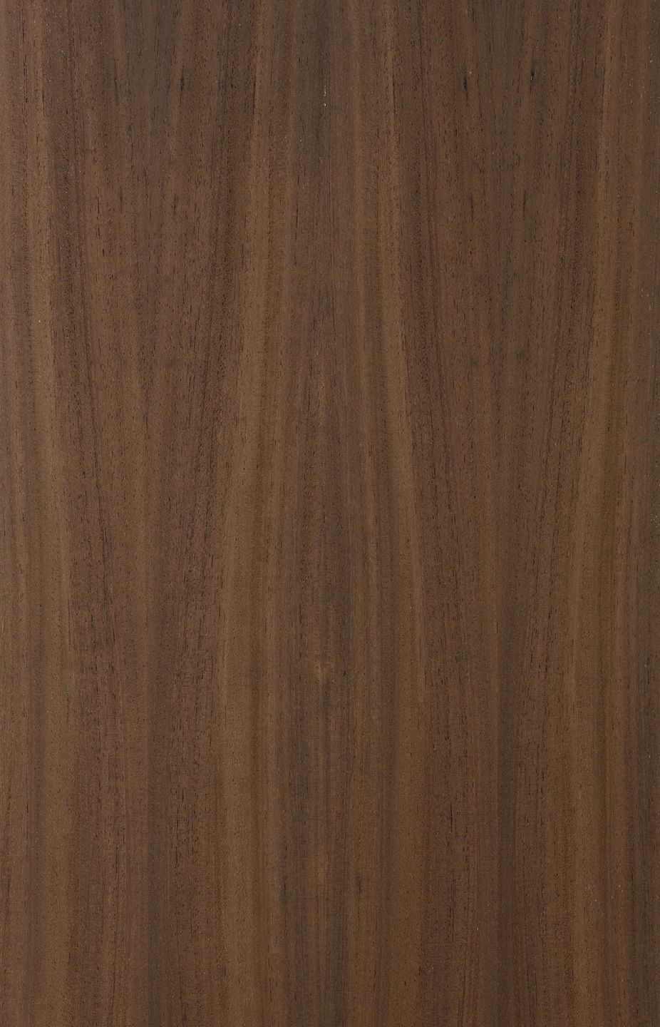 walnut seamless texture