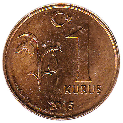 turkish kurus coin