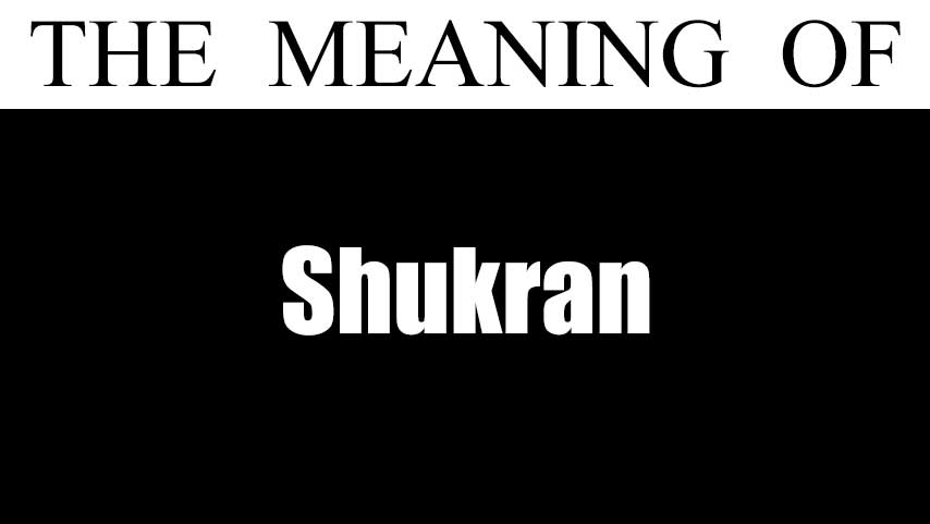 shukran meaning in urdu