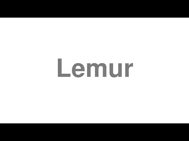 lemur pronunciation