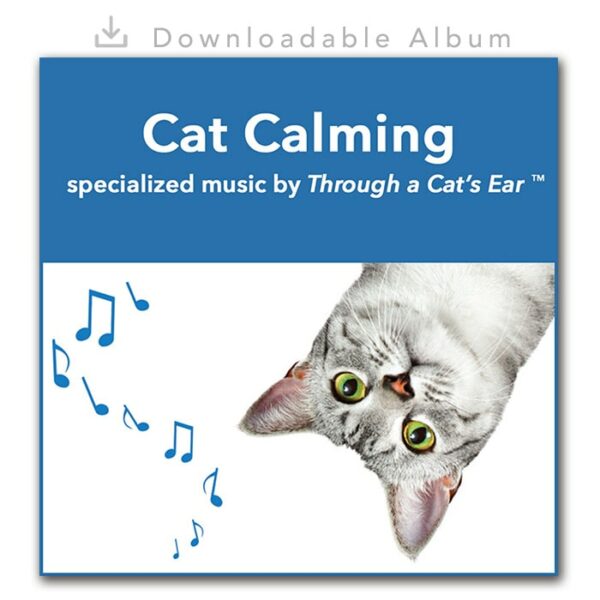 cat music for cats