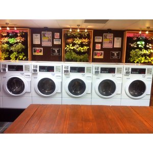 fortitude valley laundromat