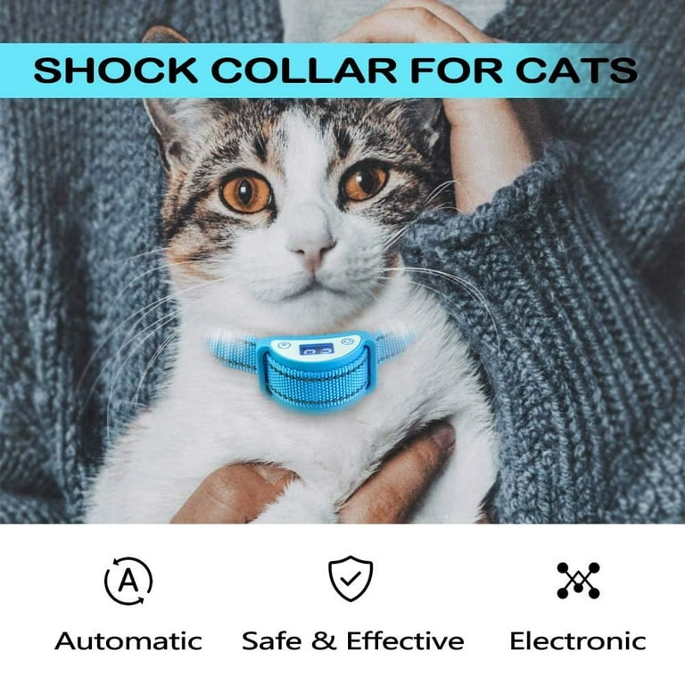 cat shock collar