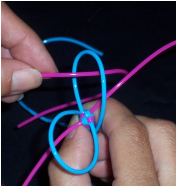 scoobies how to