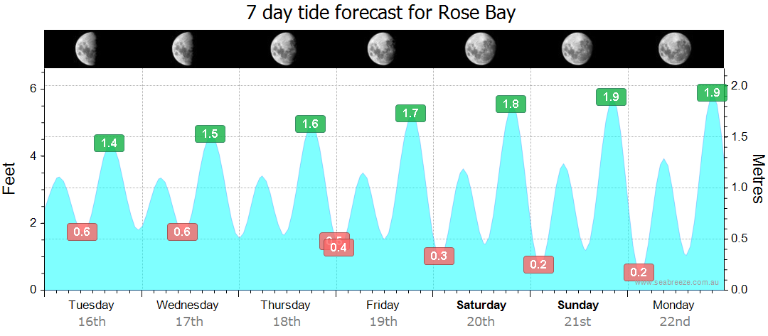 rose bay tides