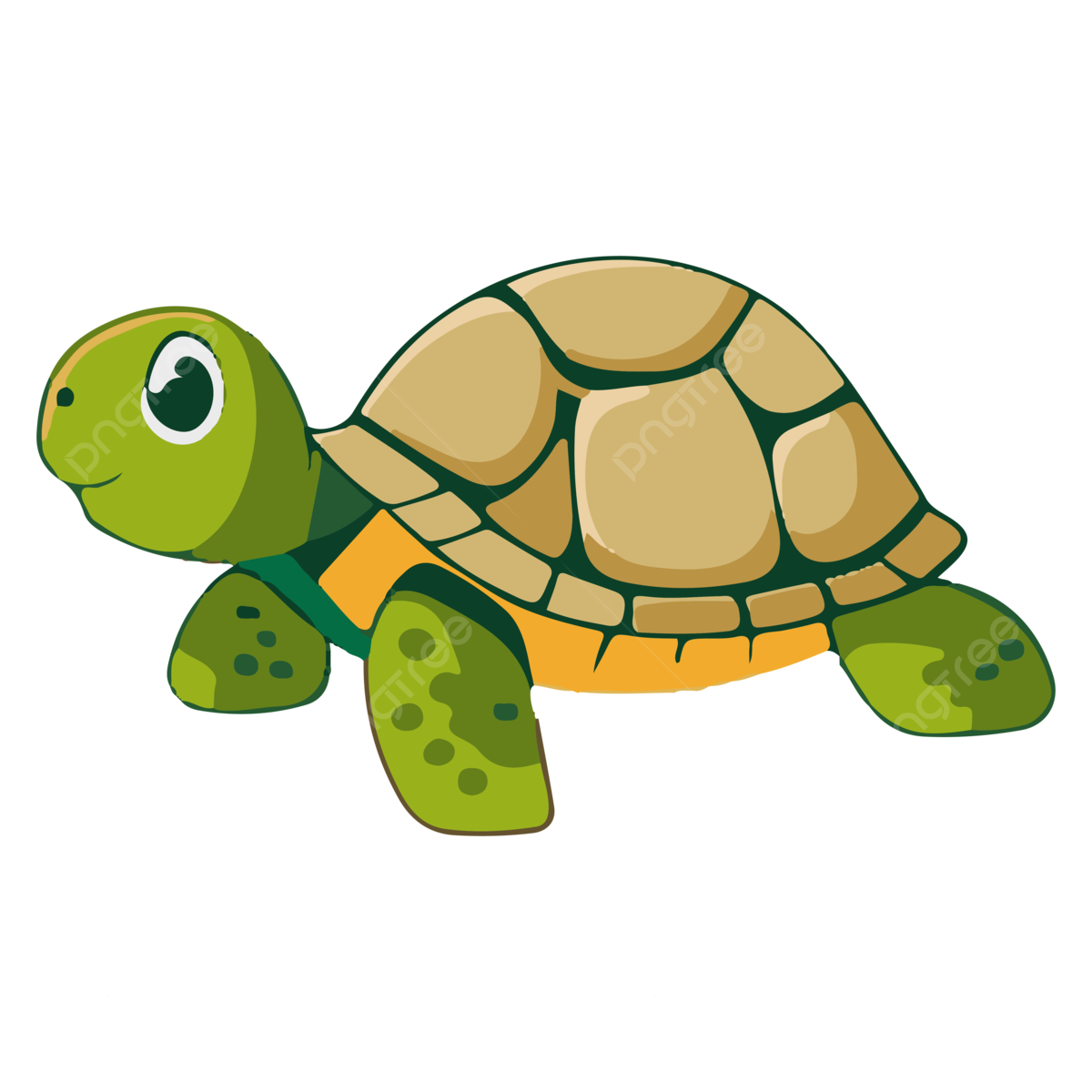 turtle vector