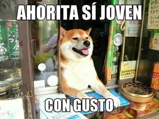 ahorita no joven meme