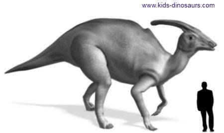 dinosaur with protrusion from back of head