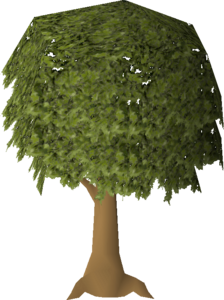 osrs oak tree