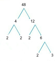 prime factors for 48