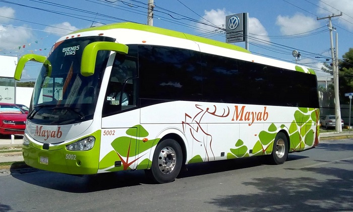 mayab bus