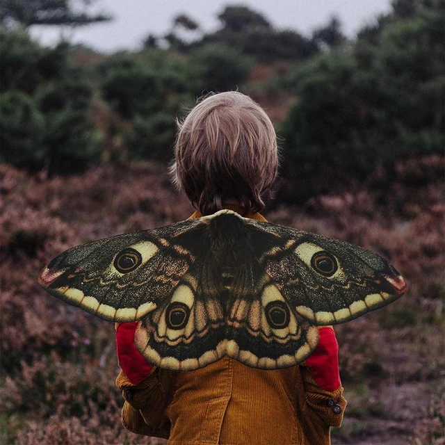 moth wings costume