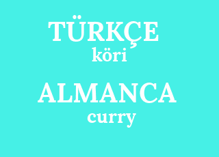 curry türkcesi