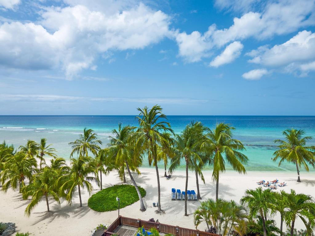 coconut court barbados reviews