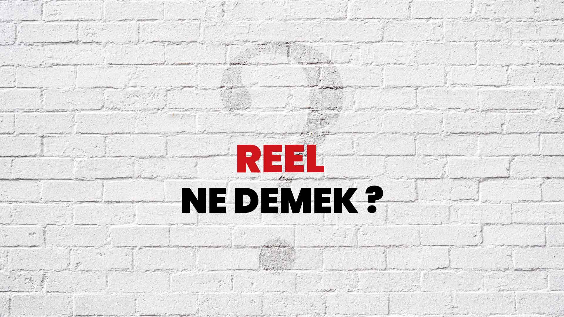 reel ne demek ingilizce