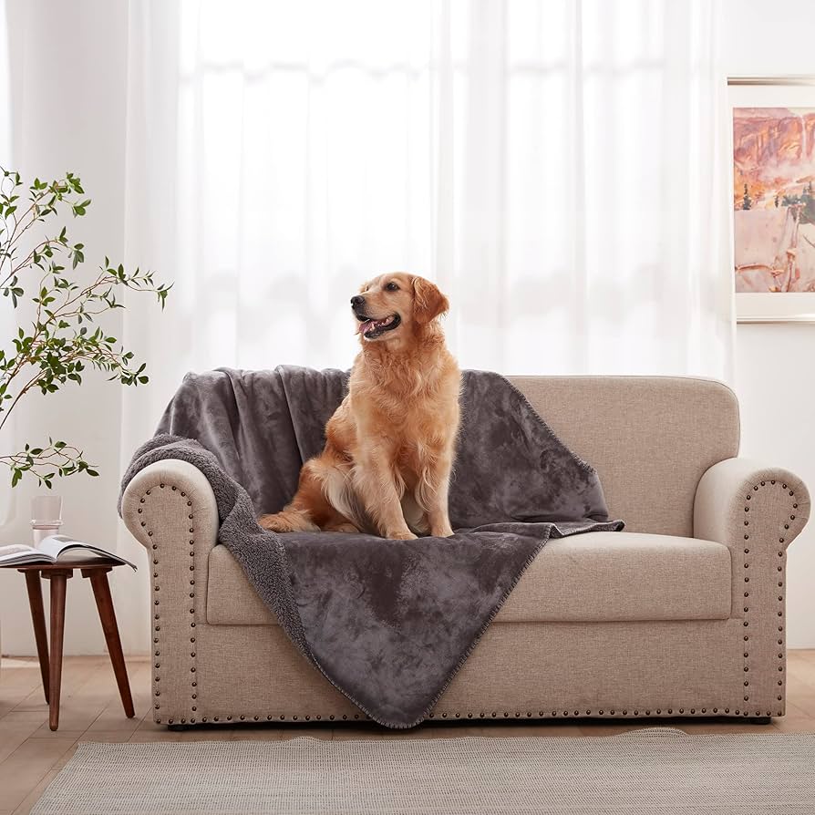 pet blanket for sofa