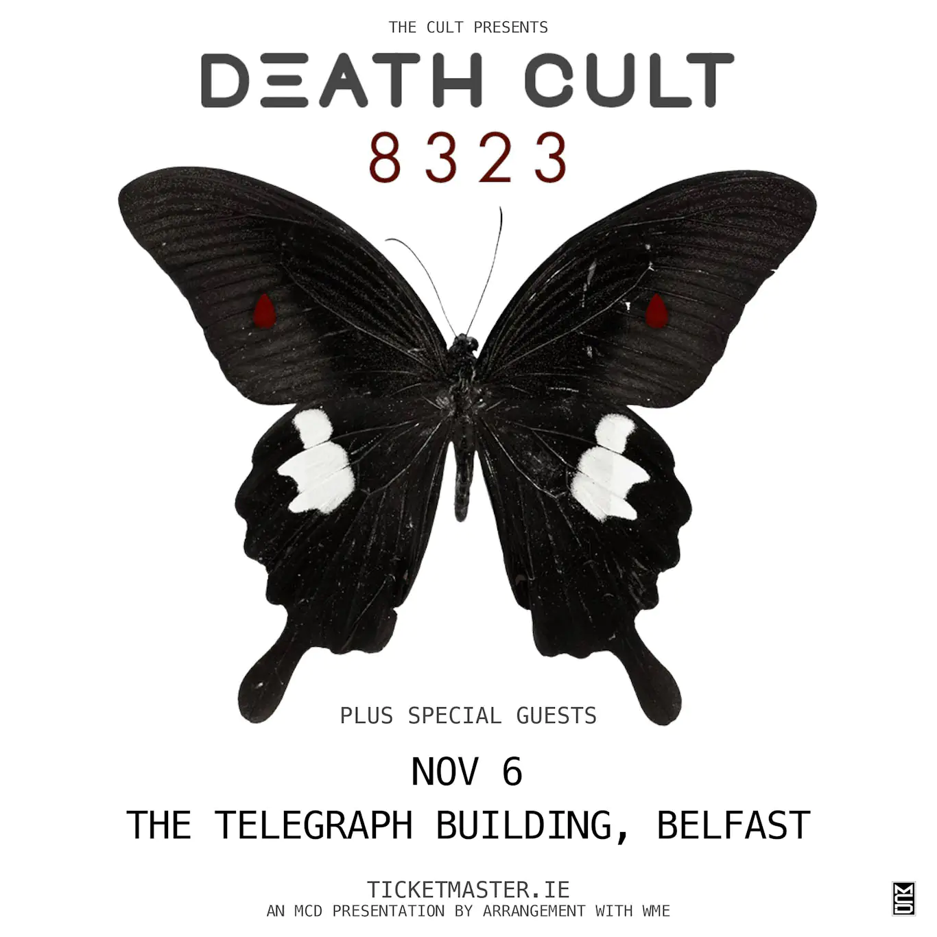 belfast telegraph deaths