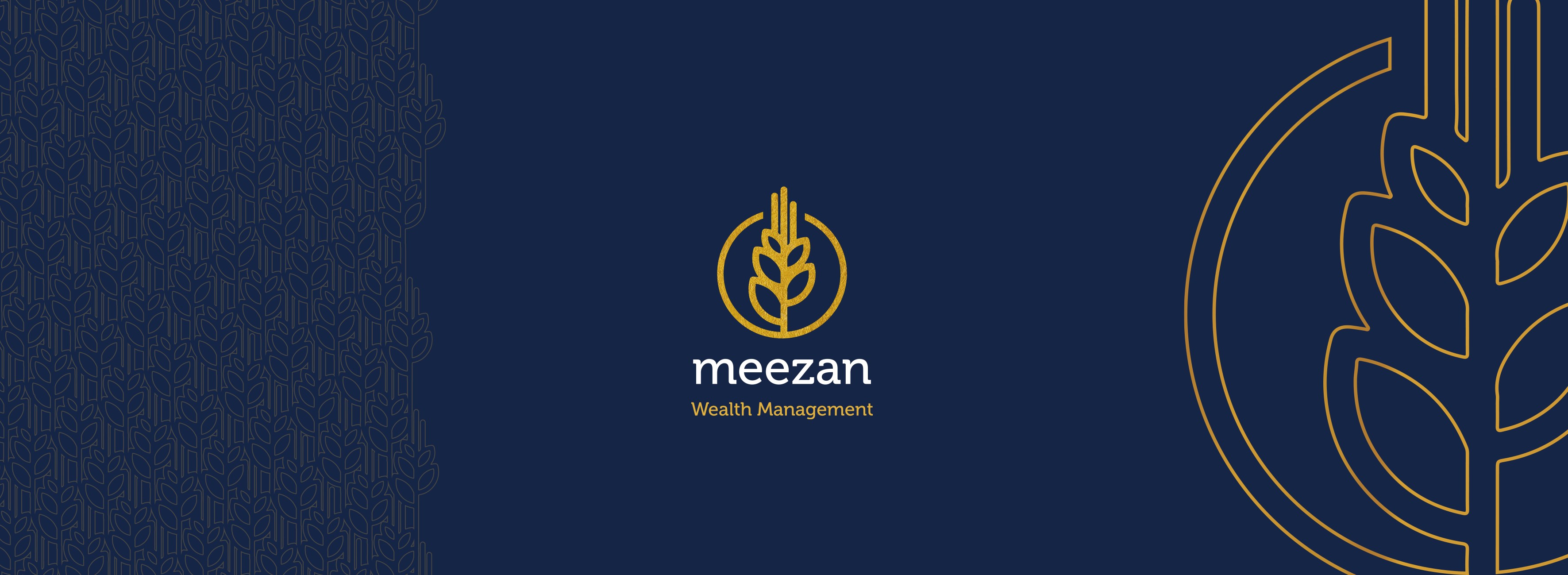 meezan wealth