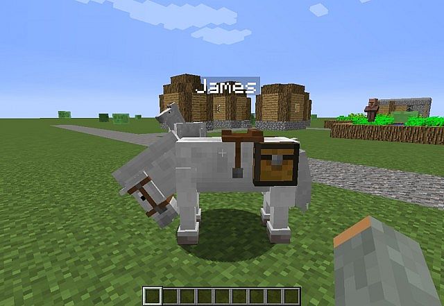 how to place a chest on a horse in minecraft