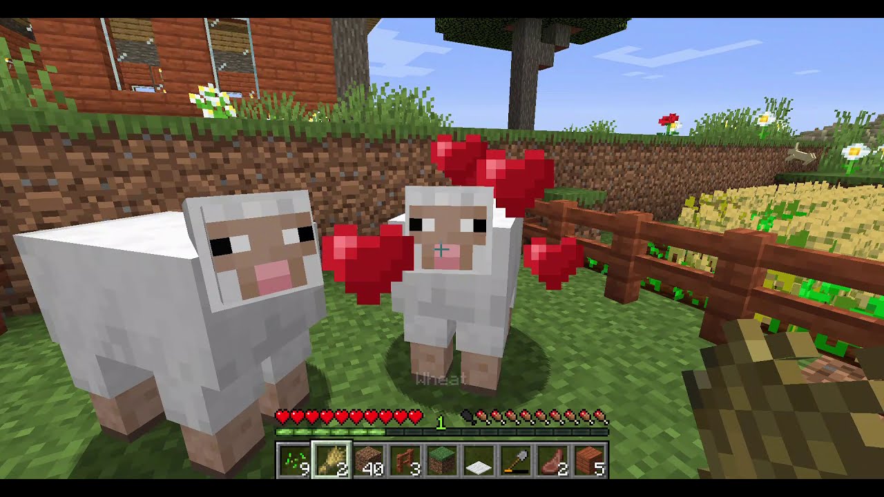how to tame sheep minecraft